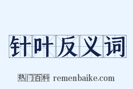 针叶反义词是什么意思的图片